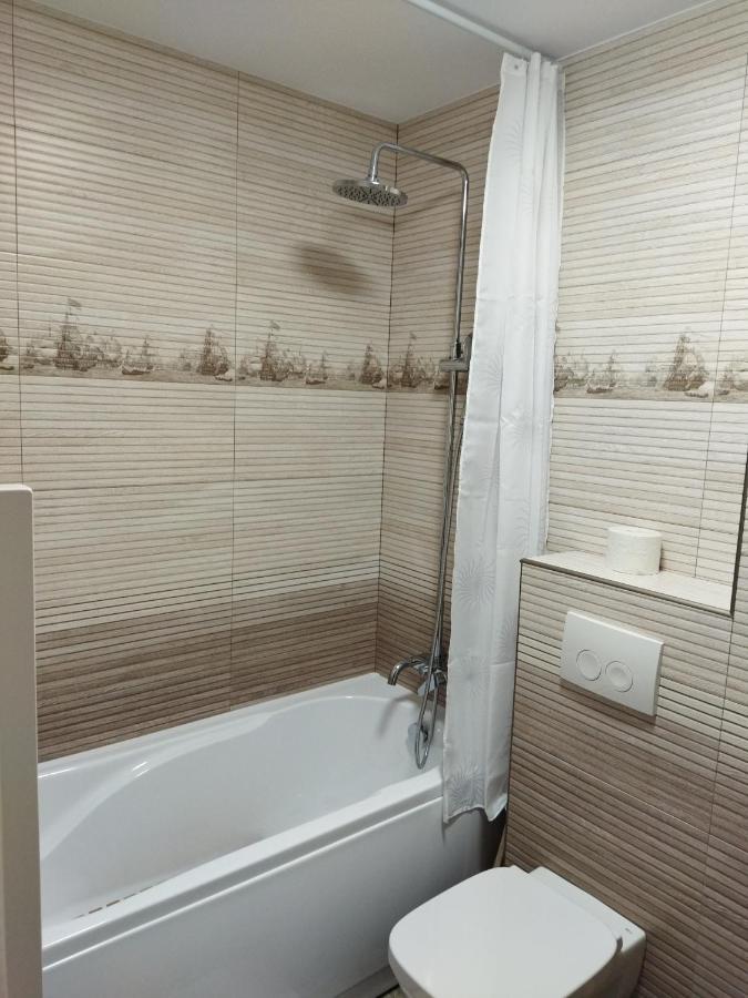 Apartament Gabriela Baia Mare Exterior foto